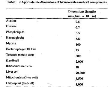 554_prokaryotes and eukaryotes.png